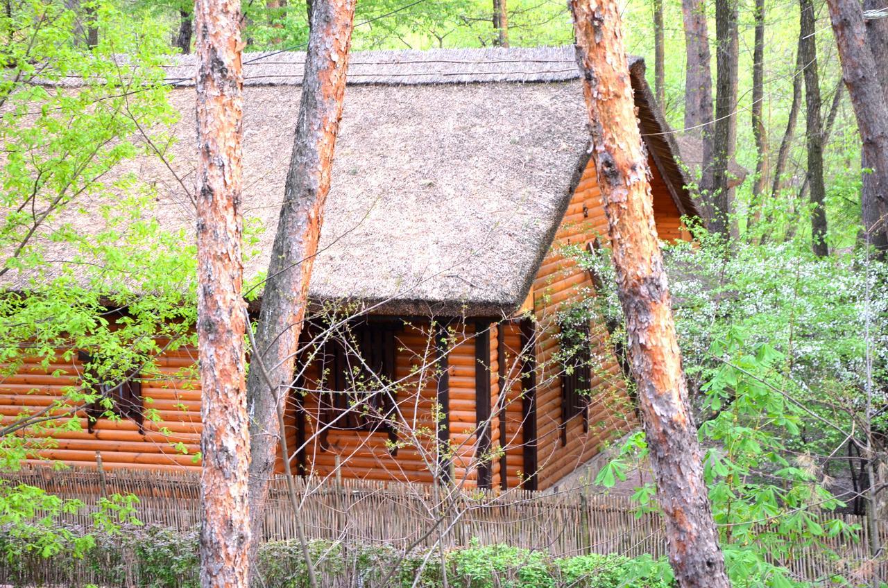 Chumatskiy Shlyah Romankiv Extérieur photo